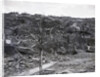 Destroyed Houses At Nagasaki by Anonymous