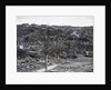 Destroyed Houses At Nagasaki by Anonymous