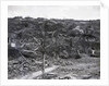 Destroyed Houses At Nagasaki by Anonymous