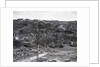 Destroyed Houses At Nagasaki by Anonymous