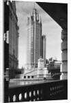 Tribune Tower, Chicago by Anonymous