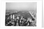 Aerial View of Central Park by Anonymous