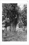 Cabin at Meriwether Lewis Birthplace by Anonymous
