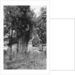 Cabin at Meriwether Lewis Birthplace by Anonymous
