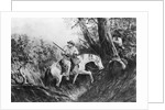 Illustration Of Pioneer On Horseback by Anonymous