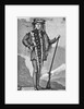 Full-Length Portrait of Meriwether Lewis by Anonymous