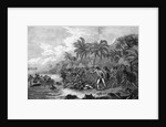 Illustration of the Death of Captain James Cook by Anonymous