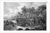 Illustration of the Death of Captain James Cook by Anonymous