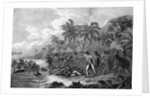 Illustration of the Death of Captain James Cook by Anonymous