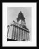 Woolworth Building Under Construction by Anonymous