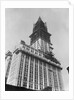 Woolworth Building Under Construction by Anonymous