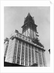 Woolworth Building Under Construction by Anonymous