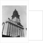 Woolworth Building Under Construction by Anonymous