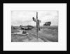 Ambulance Driving By Grave With Cross by Anonymous