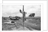 Ambulance Driving By Grave With Cross by Anonymous