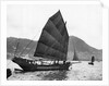 Boats (Junks) In The Harbor by Anonymous