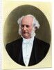 Painting Of Cornelius Vanderbilt by Anonymous