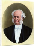 Painting Of Cornelius Vanderbilt by Anonymous