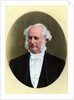 Painting Of Cornelius Vanderbilt by Anonymous