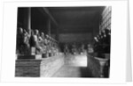 Chinese Gods Lined In A Temple by Anonymous