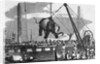 Unloading Elephants From Ship; Illustrat by Anonymous