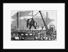 Unloading Elephants From Ship; Illustrat by Anonymous