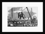Unloading Elephants From Ship; Illustrat by Anonymous