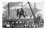 Unloading Elephants From Ship; Illustrat by Anonymous