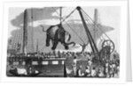 Unloading Elephants From Ship; Illustrat by Anonymous