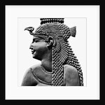 Egyptian Relief Of Cleopatra Vii by Anonymous