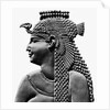 Egyptian Relief Of Cleopatra Vii by Anonymous