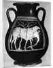 Pot Showing Odysseus Under The Ram by Anonymous
