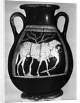 Pot Showing Odysseus Under The Ram by Anonymous