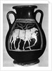Pot Showing Odysseus Under The Ram by Anonymous