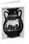 Pot Showing Odysseus Under The Ram by Anonymous