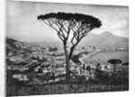 Panoramic Aerial View Of Naples by Anonymous