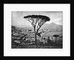 Panoramic Aerial View Of Naples by Anonymous