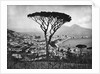 Panoramic Aerial View Of Naples by Anonymous