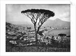 Panoramic Aerial View Of Naples by Anonymous