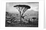 Panoramic Aerial View Of Naples by Anonymous