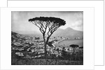 Panoramic Aerial View Of Naples by Anonymous