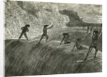 Illustration of Hawaiian Natives Surfing On High Wave by Anonymous