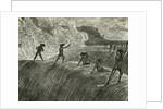 Illustration of Hawaiian Natives Surfing On High Wave by Anonymous
