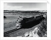 Train Full Length On Curved Track by Anonymous