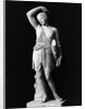 Amazon Statue In Vatican Museum by Anonymous