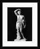 Amazon Statue In Vatican Museum by Anonymous