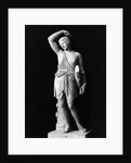 Amazon Statue In Vatican Museum by Anonymous