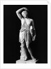 Amazon Statue In Vatican Museum by Anonymous
