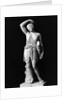 Amazon Statue In Vatican Museum by Anonymous