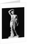 Amazon Statue In Vatican Museum by Anonymous